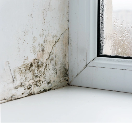 Mould in corner by window
