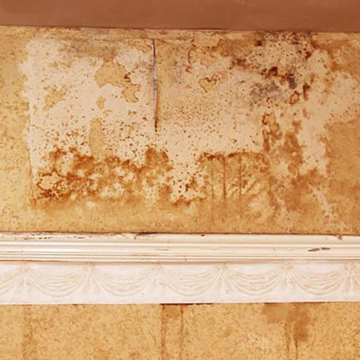 Damp proofing - Results of penetrating damp