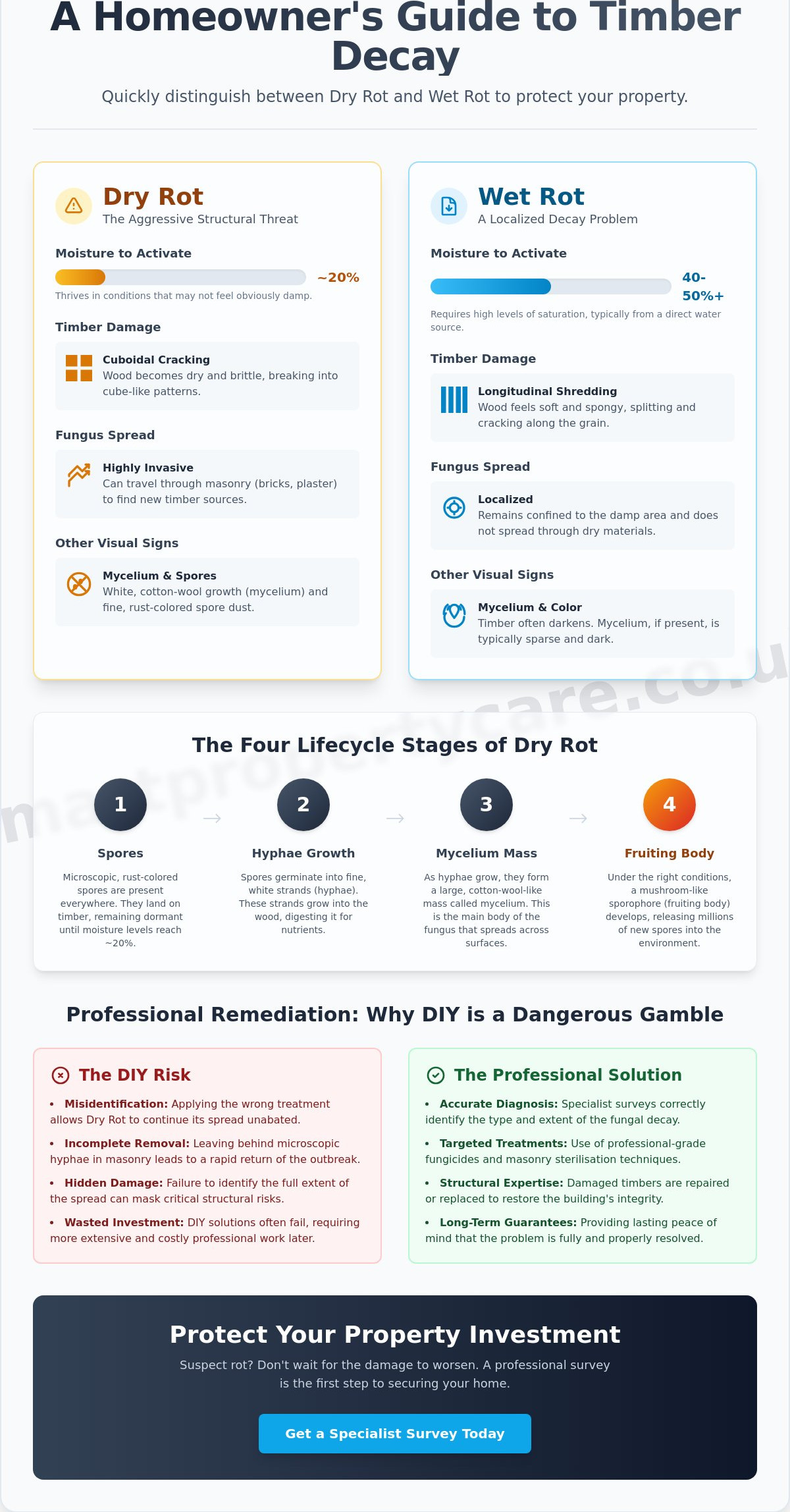 Dry Rot in Kent Properties: Identification, Comparison, and Specialist Treatment in 2026