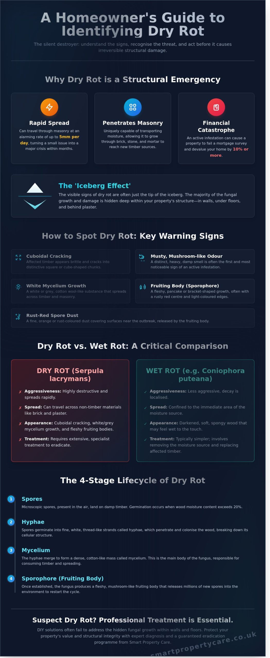 Professional Dry Rot Treatment in Kent: A Homeowner’s Guide to Timber Preservation