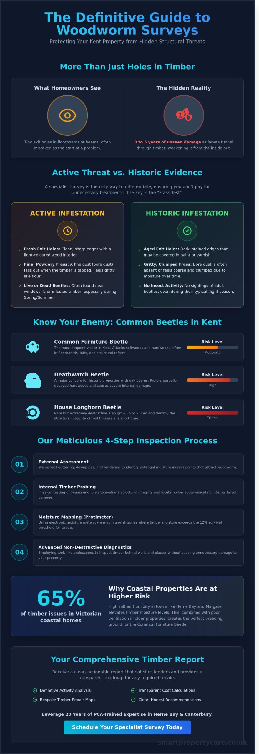 Professional Woodworm Survey in Herne Bay & Canterbury: A Homeowner’s Guide