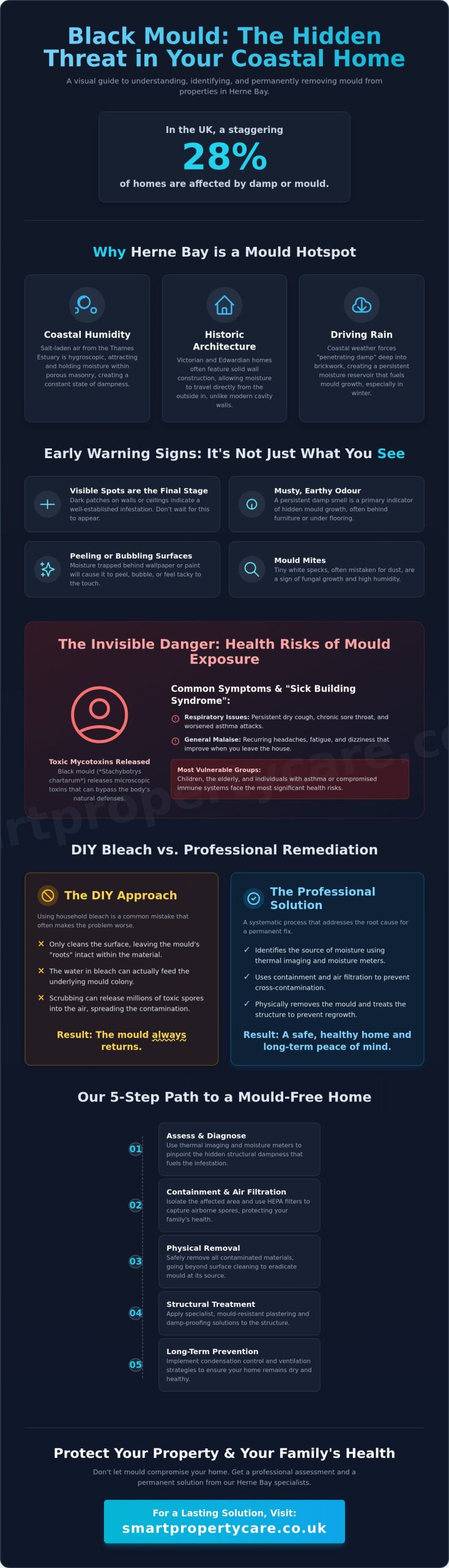 Professional Black Mould Removal in Herne Bay: A 2026 Guide to Permanent Solutions