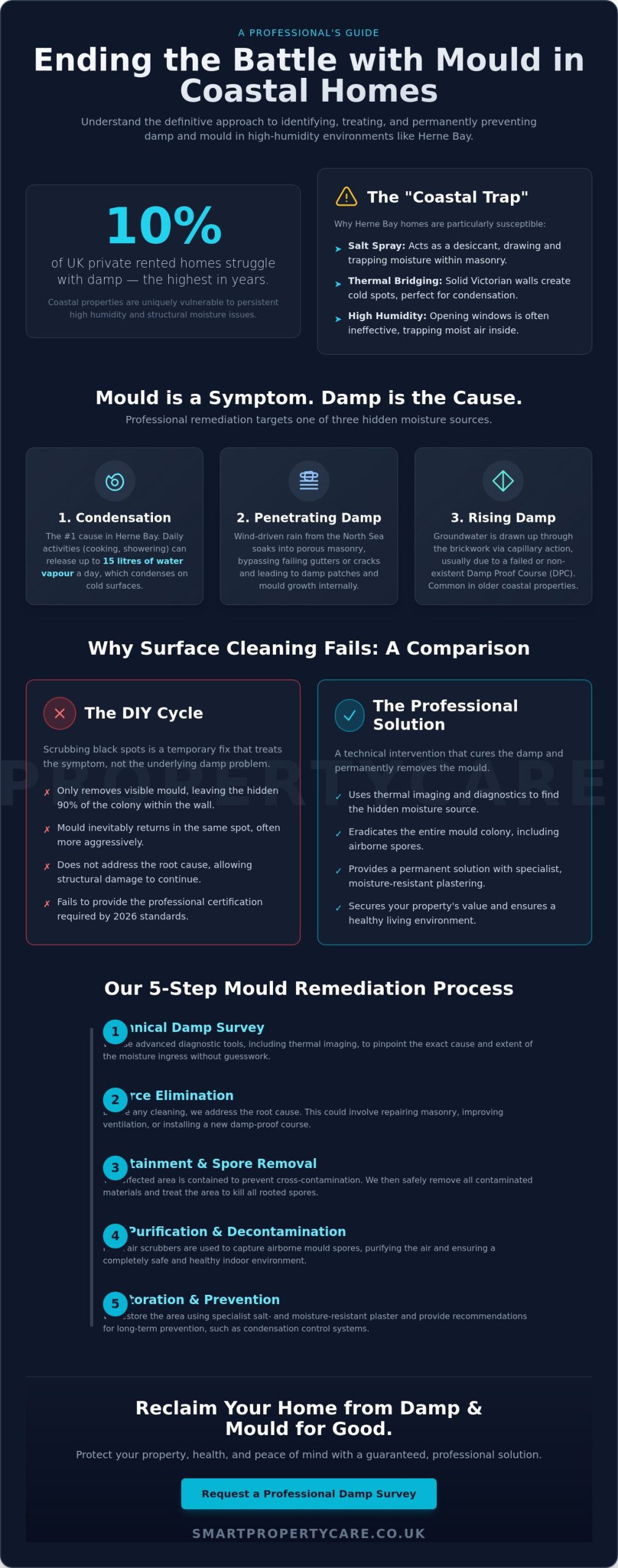 Professional Mould Remediation in Herne Bay: The 2026 Guide to a Mould-Free Home