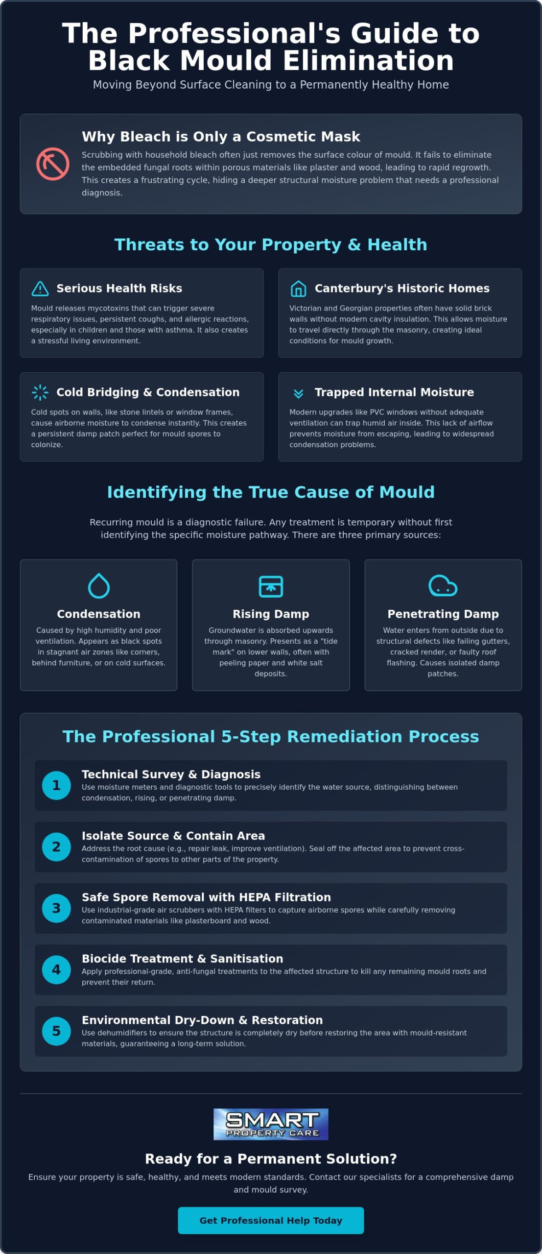 Professional Black Mould Removal in Canterbury: The 2026 Specialist Guide